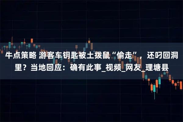 牛点策略 游客车钥匙被土拨鼠“偷走”，还叼回洞里？当地回应：确有此事_视频_网友_理塘县