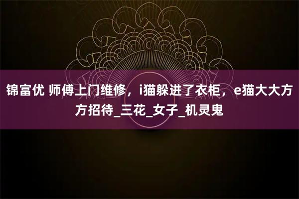 锦富优 师傅上门维修，i猫躲进了衣柜，e猫大大方方招待_三花_女子_机灵鬼