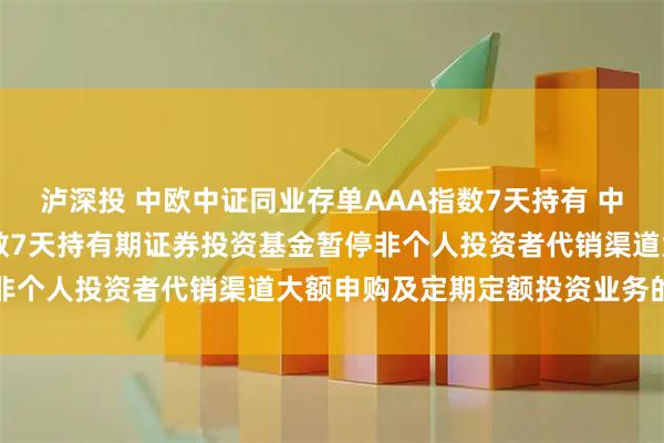 泸深投 中欧中证同业存单AAA指数7天持有 中欧中证同业存单AAA指数7天持有期证券投资基金暂停非个人投资者代销渠道大额申购及定期定额投资业务的公告