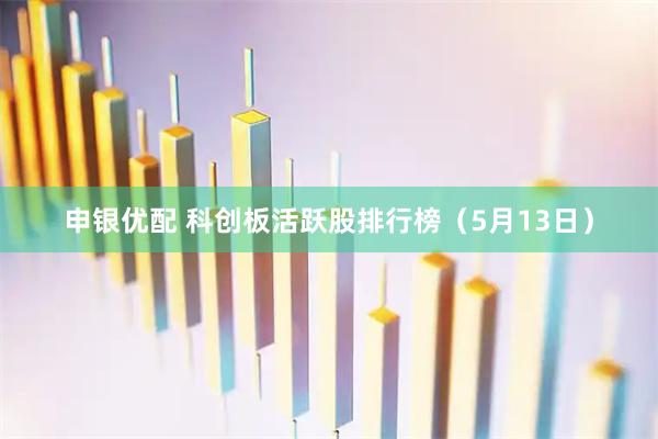 申银优配 科创板活跃股排行榜（5月13日）