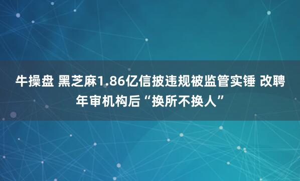 牛操盘 黑芝麻1.86亿信披违规被监管实锤 改聘年审机构后“换所不换人”