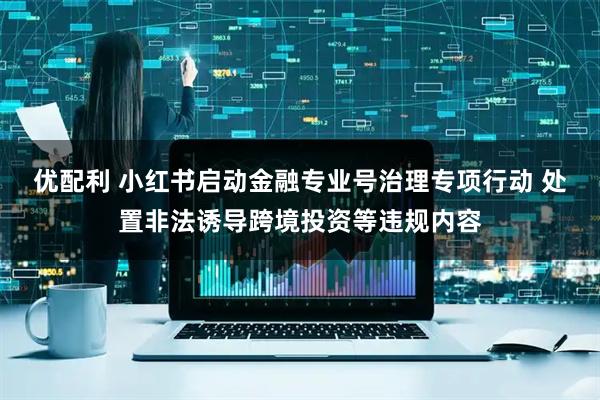 优配利 小红书启动金融专业号治理专项行动 处置非法诱导跨境投资等违规内容