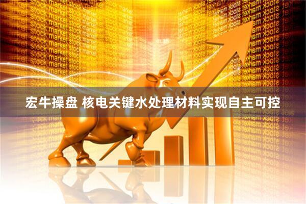 宏牛操盘 核电关键水处理材料实现自主可控